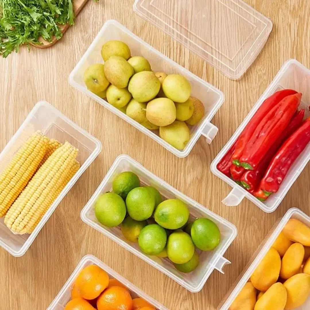 Frigofit® Organizadores Multiusos con tapa y manija