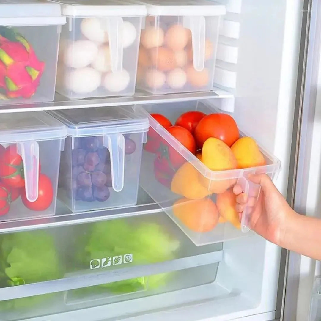 Frigofit® Organizadores Multiusos con tapa y manija